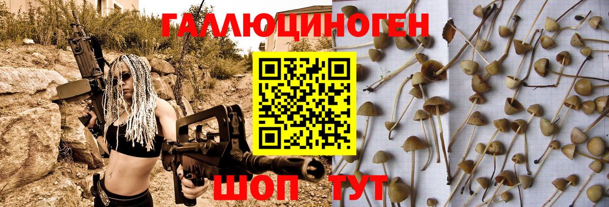 Лениногорск  купить  цена  Вход с VPN  Псилоцибиновые грибы Magic Shrooms  Псилоцибиновые грибы Psilocybe 